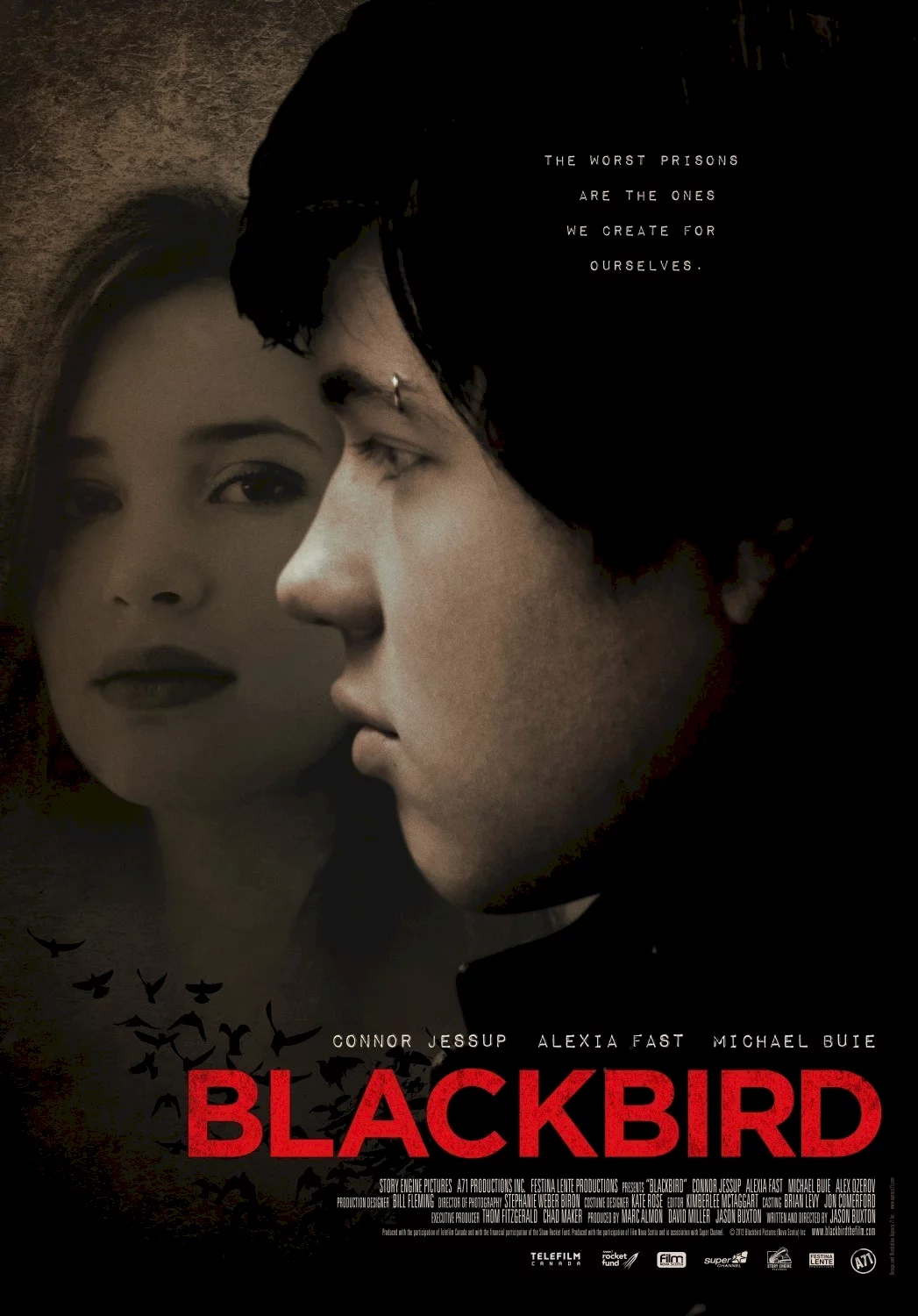 Photo 1 du film : Blackbird