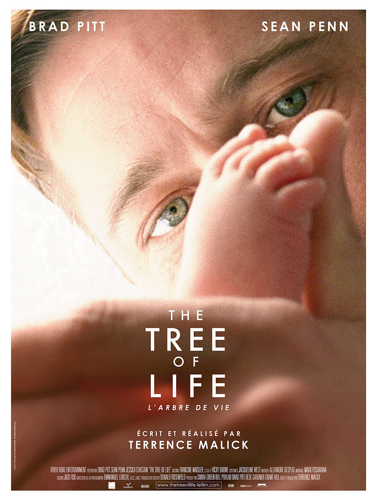 Photo 1 du film : L'arbre de vie