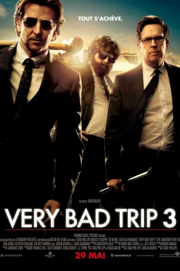 Affiche du film Bad Trip