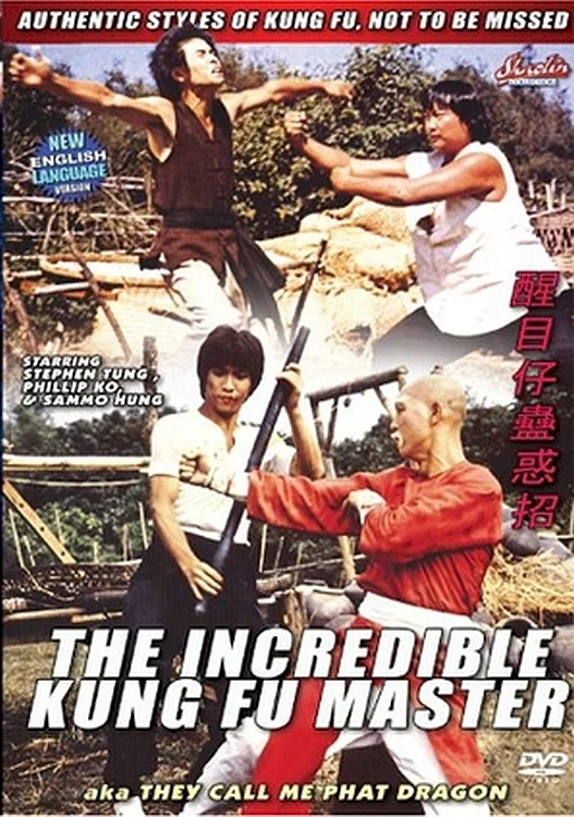 Photo du film : L'incroyable maitre du kung fu