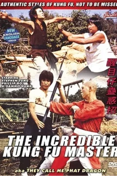 Affiche du film = L'incroyable maitre du kung fu