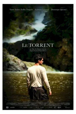 Affiche du film Le torrent