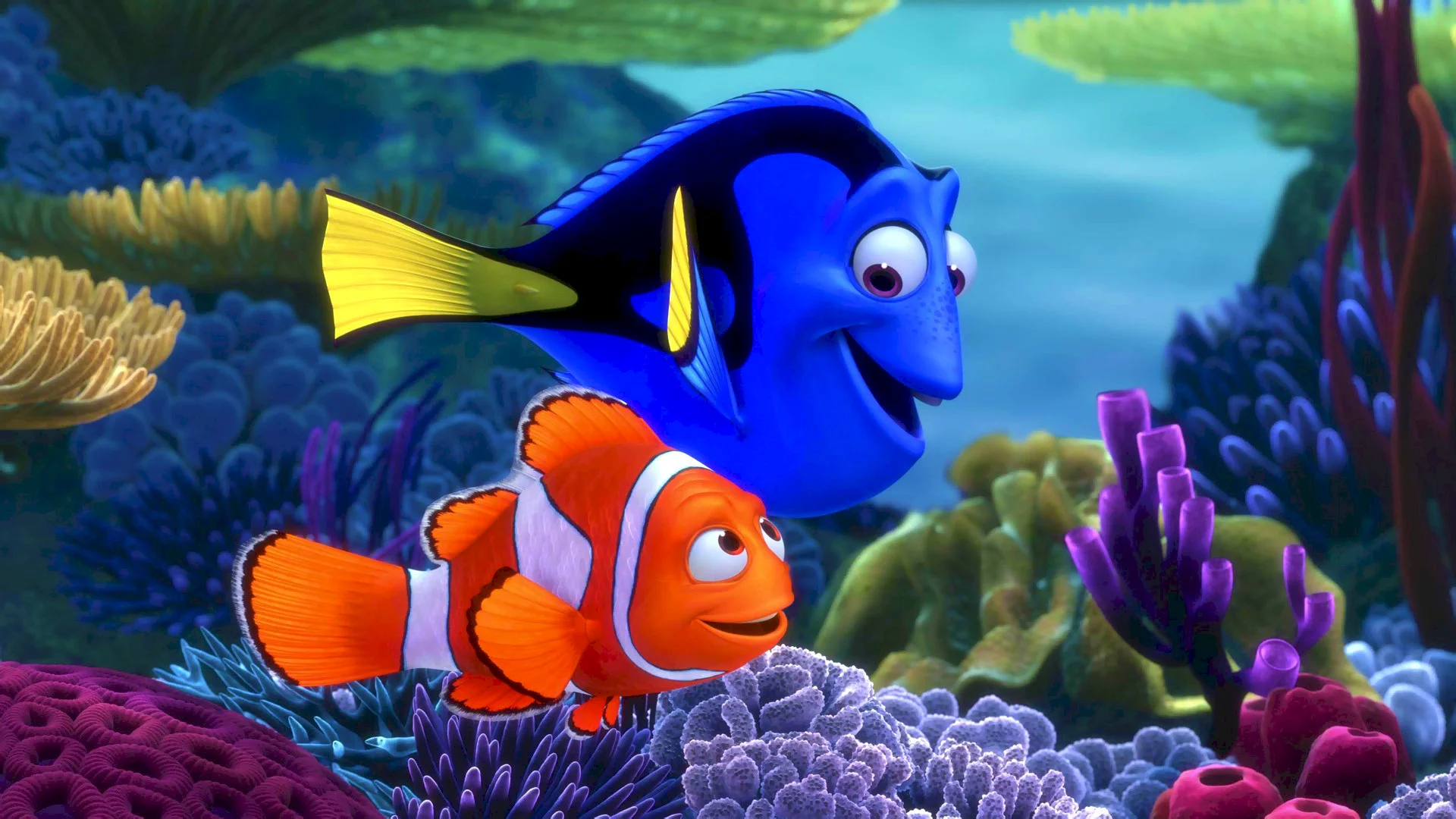 Photo 3 du film : Nemo