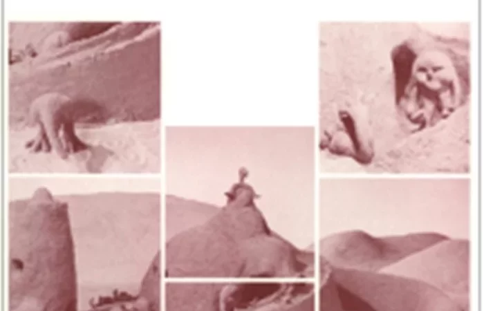 Photo du film : Le chateau de sable