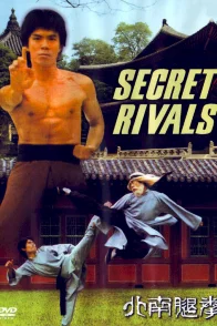 Affiche du film : Huo le roi du kung fu