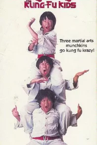 Affiche du film : Kung fu kids