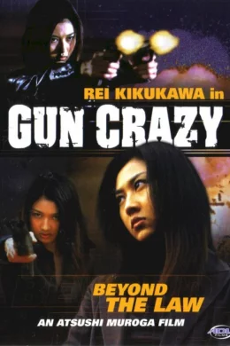 Affiche du film Gun law