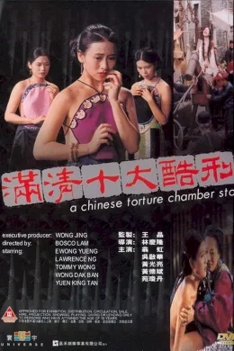 Affiche du film La torture