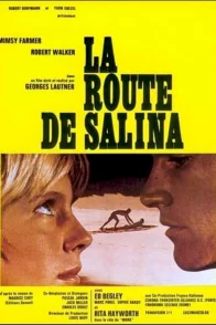 Affiche du film : La route de Salina