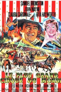 Affiche du film : Le grand cirque