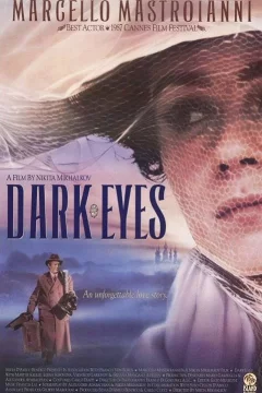 Affiche du film = Les yeux noirs