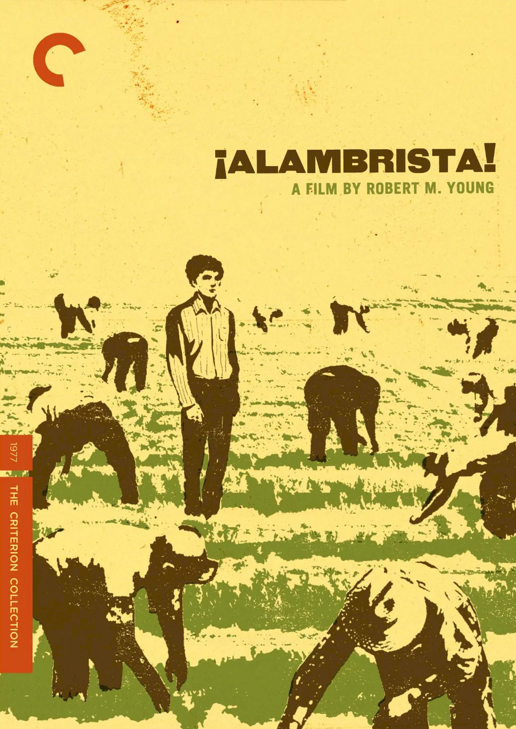 Photo 1 du film : Alambrista