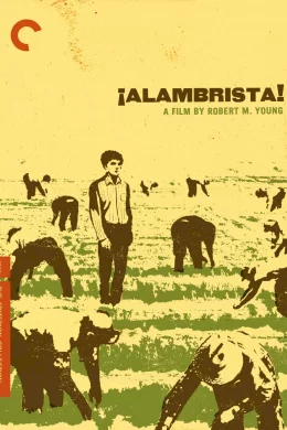 Affiche du film Alambrista