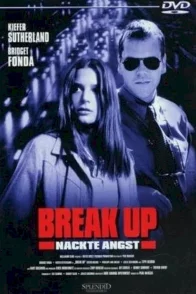 Affiche du film : Break up