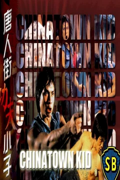Affiche du film = Le Caïd de Chinatown