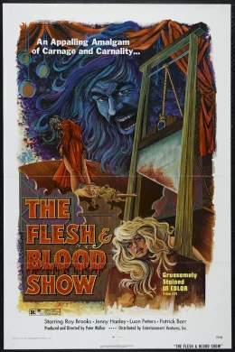 Affiche du film Blood and flesh show