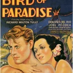 Photo du film : L'oiseau de paradis