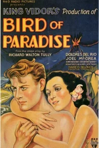 Affiche du film : L'oiseau de paradis