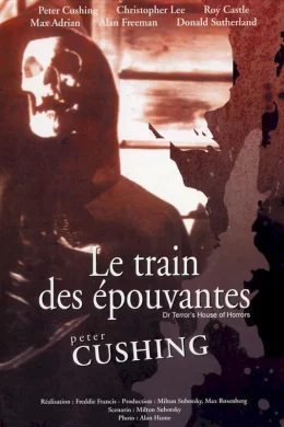 Affiche du film Le train des epouvantes