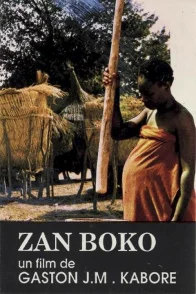 Affiche du film : Zan boko