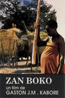 Affiche du film Zan boko