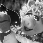 Photo du film : L'île au trésor des Muppets