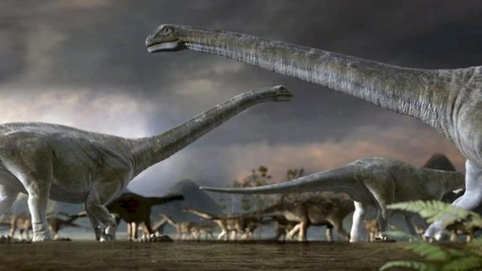 Photo du film : Dinosaures