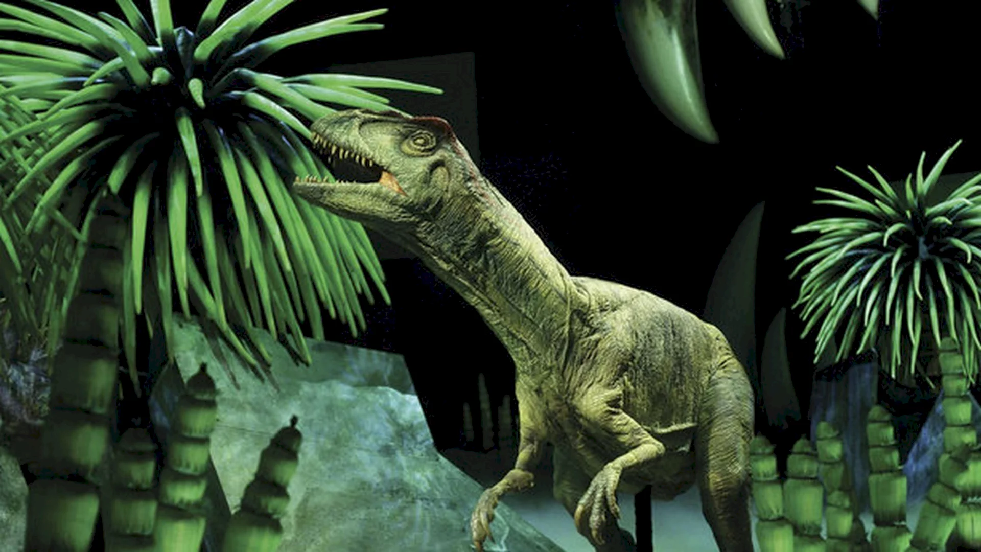 Photo 8 du film : Dinosaures