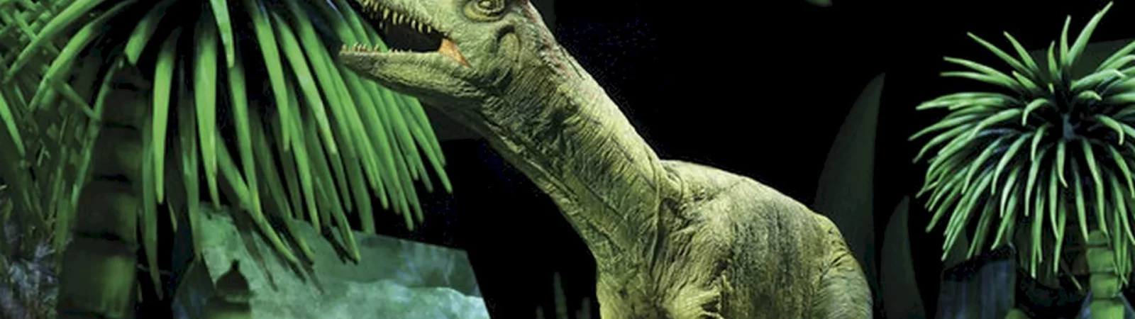 Photo du film : Dinosaures
