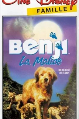 Affiche du film Benji la malice