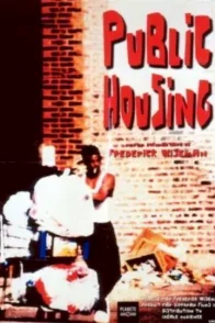 Affiche du film : Public housing
