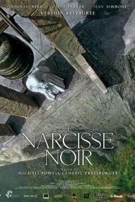 Affiche du film : Narcisse