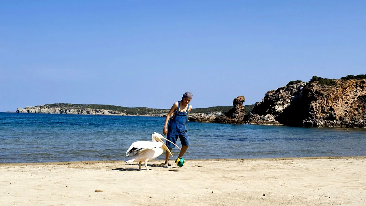 Photo du film : Le pelican