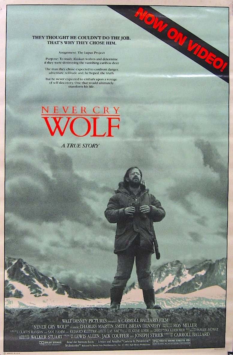 Photo du film : Un homme parmi les loups