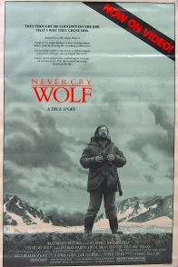 Affiche du film : Un homme parmi les loups