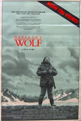 Affiche du film Un homme parmi les loups