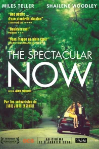 Affiche du film : The Spectacular Now