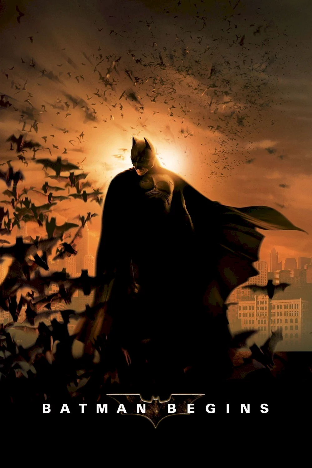Photo 1 du film : Batman Begins