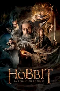 Affiche du film : Le Hobbit : la Désolation de Smaug 