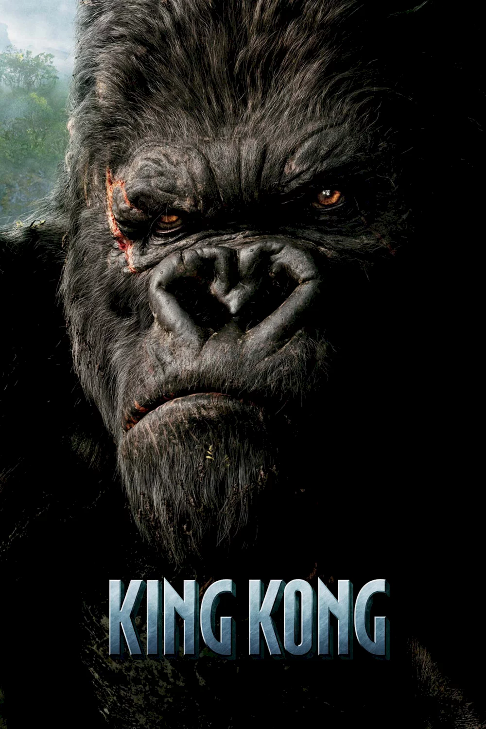 Photo 1 du film : King Kong