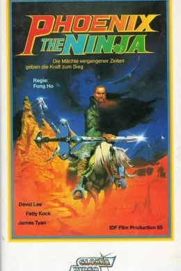 Affiche du film Phoenix the ninja