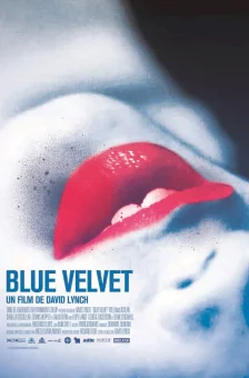 Affiche du film : Blue velvet