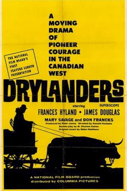 Affiche du film Drylanders