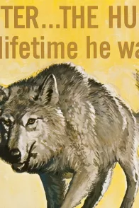 Affiche du film : La legende de lobo