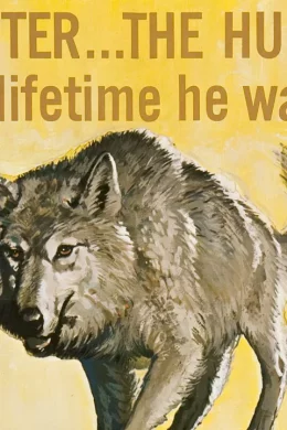 Affiche du film La legende de lobo