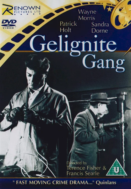 Photo 1 du film : The gelignite gang