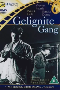 Affiche du film : The gelignite gang