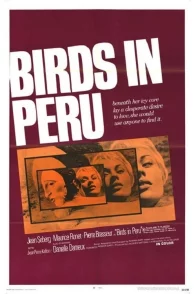 Affiche du film : Les oiseaux vont mourir au Perou