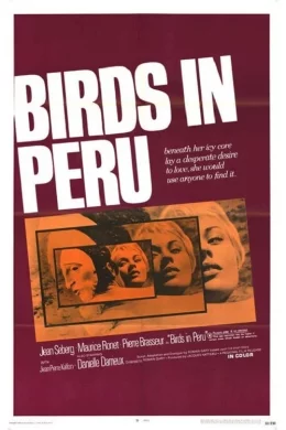 Affiche du film Les oiseaux vont mourir au Perou