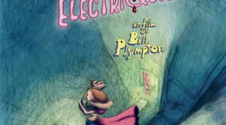 Affiche du film : Les Amants Electriques